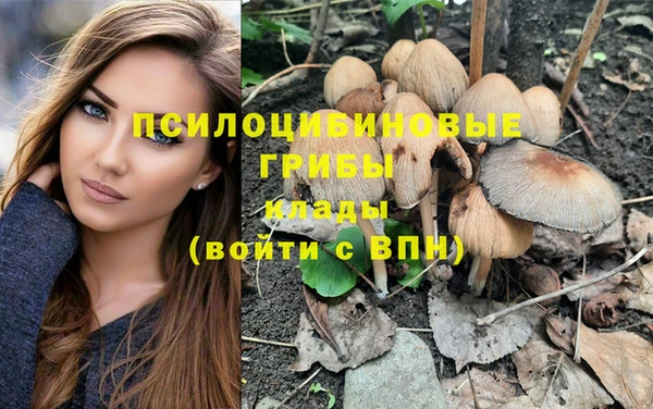мяу мяу мука Слюдянка