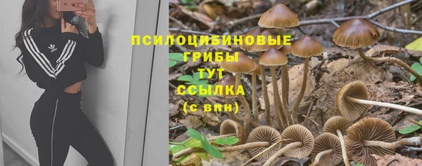 кокаин колумбия Снежногорск