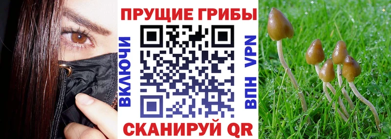 Галлюциногенные грибы MAGIC MUSHROOMS  Купить  Острогожск 